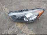 KIA FORTE LX KNAFK4A6XG5574372 снимка