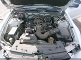 FORD MUSTANG V6 1ZVFT80N265****** снимка