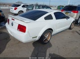 FORD MUSTANG V6 1ZVFT80N265****** снимка
