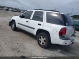 Chevrolet Trailblazer Ls 1GNDS13S652154617 снимка