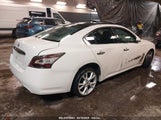 NISSAN MAXIMA 3.5 S 1N4AA5AP6CC822000 снимка