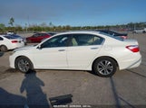 HONDA ACCORD LX 1HGCR2F37DA147319 снимка
