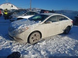 HYUNDAI SONATA GLS 5NPEB4AC5DH780988 снимка