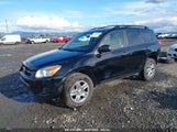 TOYOTA RAV4 JTMBF33V49D017521 снимка