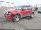 FORD ESCAPE XLT 1FMCU0D79BKB91140 fotografie