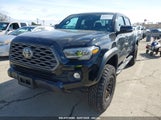 TOYOTA TACOMA TRD OFF ROAD 3TMCZ5AN4PM605821 fotografie