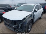 HYUNDAI TUCSON SEL KM8JB3AE1NU****** снимка