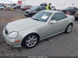 MERCEDES-BENZ SLK 230 KOMPRESSOR WDBKK49F82F260243 снимка