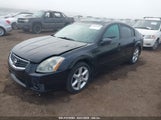 Nissan Maxima Se/Sl 1N4BA41E56C807568 снимка
