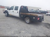 FORD F-350 XL 1FT8W3DT8GEB21637 photo