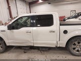 FORD F-150 XLT 1FTEW1E83HFc10304 снимка