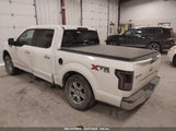 FORD F-150 XLT 1FTEW1E83HFc10304 снимка