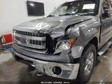 FORD F-150 XLT 1FTFW1ET8DFA52352 снимка