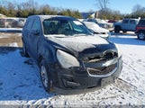 CHEVROLET EQUINOX LS 2GNFLCEK9D6343438 снимка