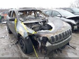 JEEP CHEROKEE LIMITED 4X4 1C4PJMDX0KD304953 снимка