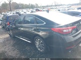 HYUNDAI SONATA SPORT 5NPE34AF2GH423988 снимка