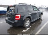 FORD ESCAPE XLT 1FMCU93148KB34936 снимка