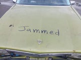 CADILLAC FLEETWOOD 1G6CB6981F4****** снимка