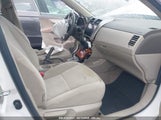 TOYOTA COROLLA XLE 2T1BU40EX9C056272 снимка