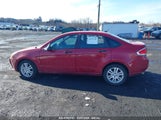 FORD FOCUS SE 1FAHP3FN4BW101616 снимка
