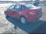 FORD FOCUS SE 1FAHP3FN4BW101616 снимка