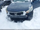 HONDA ACCORD 3.5 EX-L 5KBCP3F84AB011658 снимка