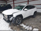 HYUNDAI TUCSON SEL 5NMJBCDE2RH424685 снимка