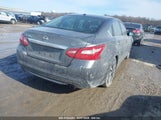 NISSAN ALTIMA 2.5/2.5 S/2.5 SL/2.5 SR/2.5 SV 1N4AL3AP6GC169169 снимка