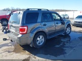 Ford Escape Xlt 1FMCU0DG3BKA73620 снимка