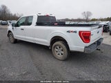 FORD F-150 XLT 1FTFX1E5XMKD25149 снимка