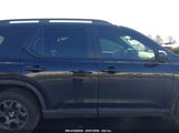 HONDA PILOT TRAILSPORT 5FNYG1H60SB059342 снимка