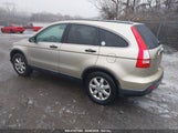 HONDA CR-V EX JHLRE48537C065260 снимка