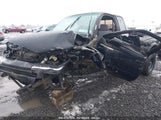 TOYOTA TACOMA 4TAWM72N9WZ126633 photo