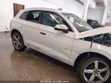 AUDI SQ5 PREMIUM PLUS TFSI QUATTRO TIPTRONIC WA1B4AFY5N2043366 fotografie