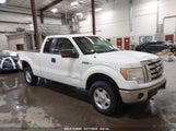 Ford F-150 Stx/Xl/Xlt 1FTEX1E89AFB91213 photo