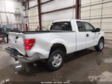 Ford F-150 Stx/Xl/Xlt 1FTEX1E89AFB91213 fotografie