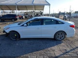 HYUNDAI SONATA 5NPE24AF7HH563751 снимка