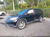HONDA CR-V LX 2HKRM3H30CH505491 снимка