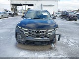 HYUNDAI SANTA CRUZ XRT 5NTJDDDF0RH103774 fotografie