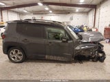 JEEP RENEGADE LIMITED 4X4 ZACNJDD19NPN59266 fotografie