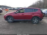 TOYOTA RAV4 LE JTMBFREVXJD228923 снимка