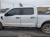 FORD F-150 XL 1FTEW1EP7PFB06470 снимка
