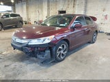 HONDA ACCORD LX 1HGCR2F39HA175256 снимка