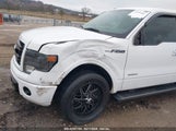 Ford F-150 Fx2 1FTFW1CT0DKD07327 снимка