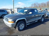 DODGE DAKOTA SLT 1D7HG42X83S****** fotografie