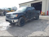 FORD F-150 LARIAT 1FTFW1ET6DKE72327 fotografie