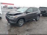 JEEP COMPASS TRAILHAWK 4X4 3C4NJDDB5NT162979 снимка