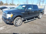 FORD F-150 1FTFW1EV8AFB54702 снимка