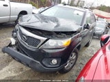 KIA SORENTO LX 5XYKT3A69DG354992 снимка