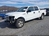 FORD F-150 XLT 1FTFW1EF5EFB02264 снимка